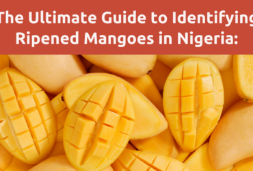The Ultimate Guide to Identifying Ripened Mangoes in Nigeria: Secrets for Savoring Sweet Perfection