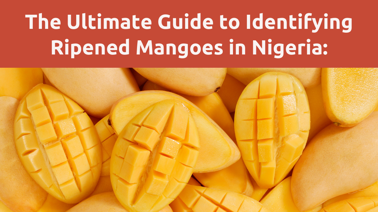 The Ultimate Guide to Identifying Ripened Mangoes in Nigeria: Secrets for Savoring Sweet Perfection