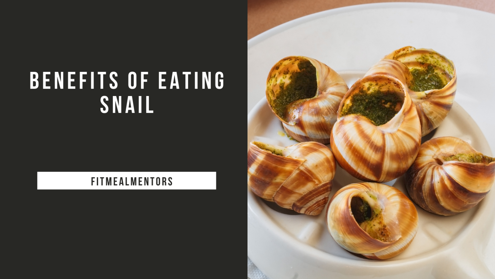 Benefits of Eating Snail