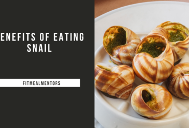 Benefits of Eating Snail
