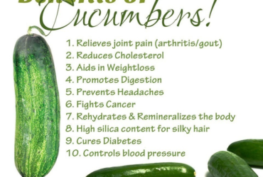Top 10 Health Benefits of Eating Cucumbers