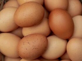 Eggs for Sexual Health: Boost Your Well-Being with These Simple Diet Tips