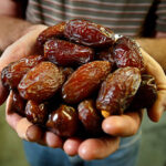 Benefits of Eating Dates: Top Reasons to Include Them in Your Diet