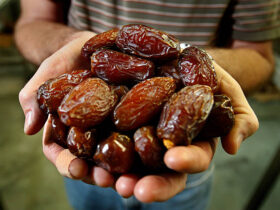 Benefits of Eating Dates: Top Reasons to Include Them in Your Diet