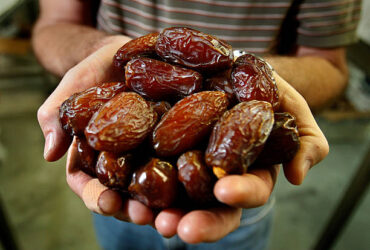 Benefits of Eating Dates: Top Reasons to Include Them in Your Diet